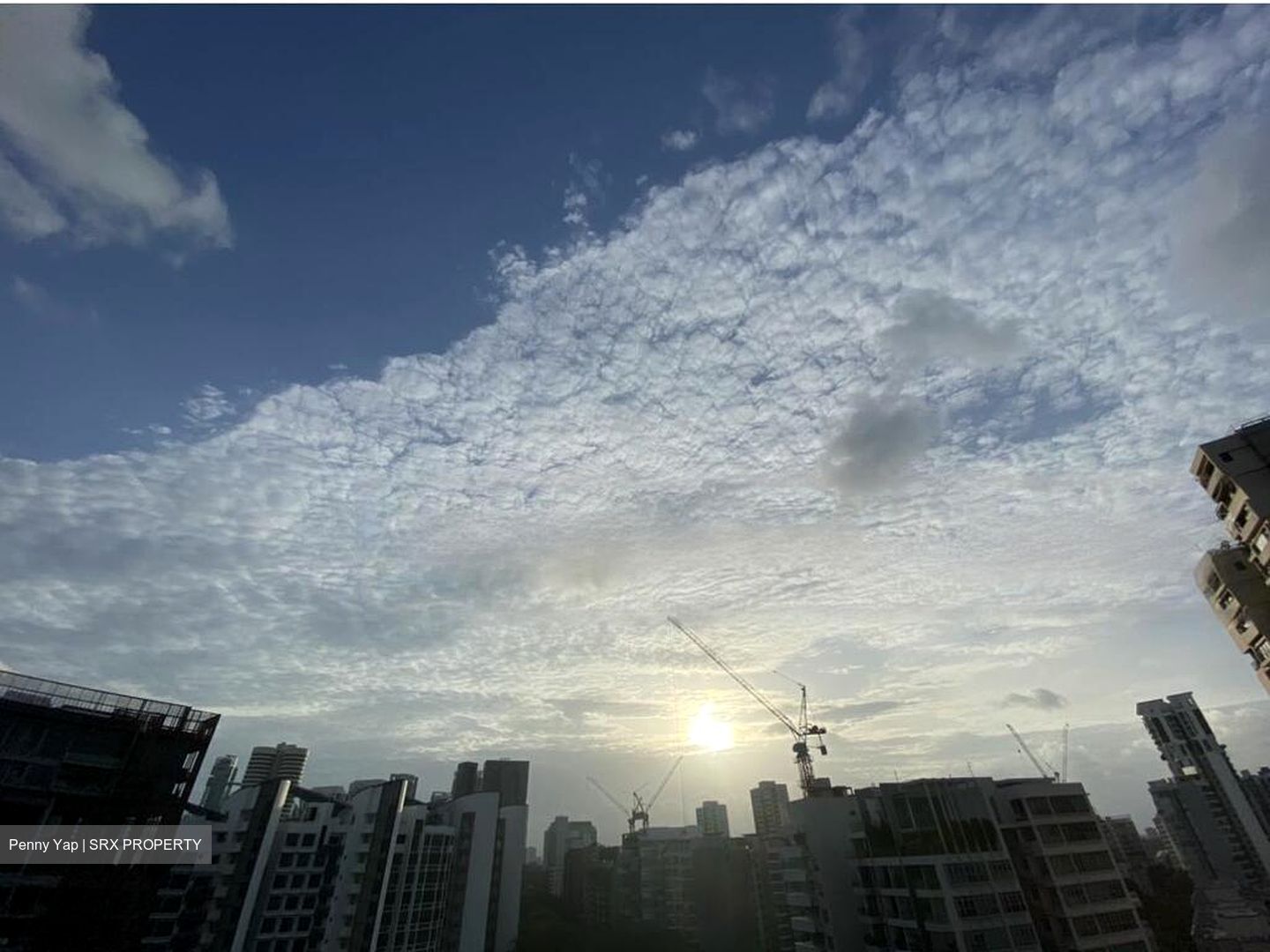 Balmoral Crest (D10), Apartment #475773211